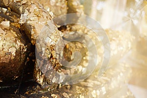 Gold Leaf sheets attached to the buddha meditation and empty right space for text. .