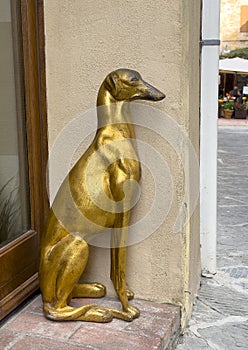 Gold leaf sitting whippet greyhound sculpture flanking a doorway in Pienza, Italy. photo