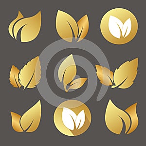 Gold leaves set isolated on dark background. Design elements for organic bio logo