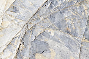 Gold and light grey patterned natural slate with veined texture