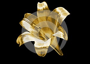 Gold lily