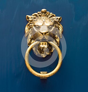 Gold lion antique door knob