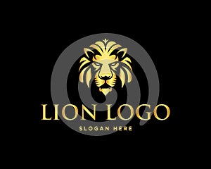 Gold lion head logo vector design template.