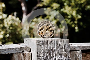 Gold Litecoin coin