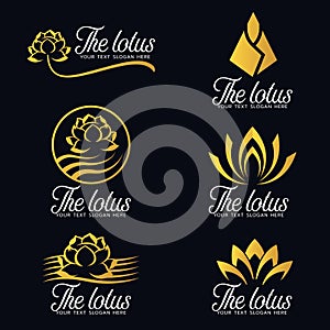 Gold lotus flower logo vector set design