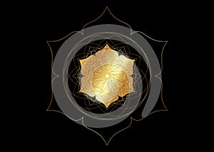 Gold lotus flower mandala, Seed of life symbol Sacred Geometry. Logo icon  Geometric mystic mandala of alchemy esoteric Flower