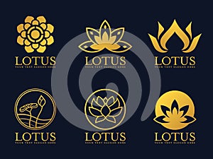 Gold lotus logo sign vector set design