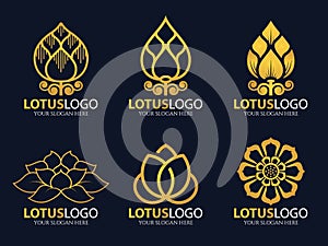 Gold Lotus logo vector illustration art set design