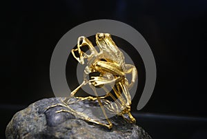 Gold made frog