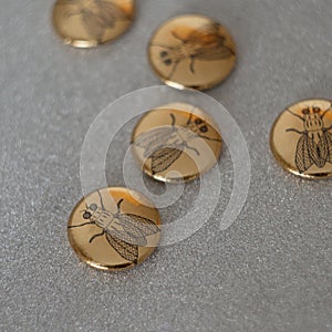 gold magnets with image of a fly