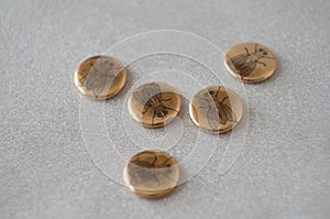 gold magnets with image of a fly