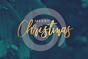 Gold Merry Christmas Calligraphy Holiday Script with Evergreen Background