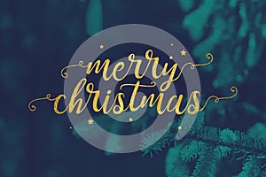 Merry Christmas Script with Evergreen Branches Background