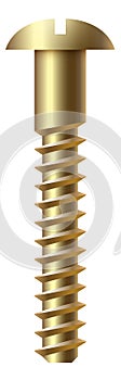 Gold metal bolt. Round slotted head fastener photo