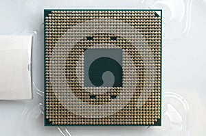 Gold metal pin on a computer processor cpu