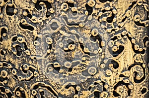 Gold metal texture background with a black wrought-iron pattern. Metal lace. Background