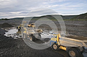 Gold mining industry. A wheel loader loads mountain soil into the back, Mining trucks transport mountain soil