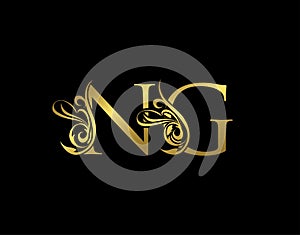 Gold N, G and NG Luxury Letter Logo Icon. Graceful royal style. Luxury alphabet arts logo