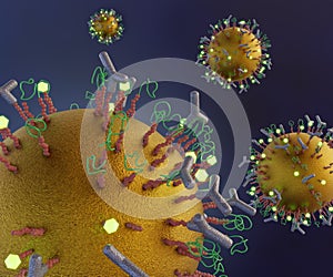 The gold nanoparticle conjugates antibodies, proteins, peptides, ligands, linker, polymers and biosensor photo