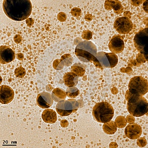 Gold nanoparticles with bimodal distribution