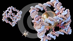 gold nanoparticles conjugated inside of DNA cube shape photo