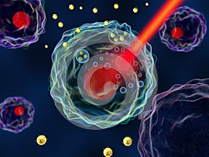 Gold nanoparticles phototherapy in cancer