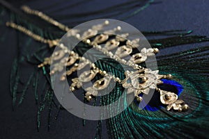 Gold necklace on peacock feather. Black background.