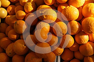 Gold Nugget Mandarin, Gold Nugget Tangarine photo