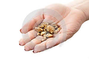Gold nuggets in hand