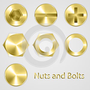 Gold Nuts and bolts. Vector illustration. photo
