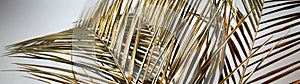 Gold palm leaves long banner on a gray background