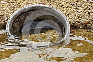 Bebé sartén en un rio Agua 