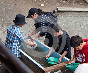 Gold panning