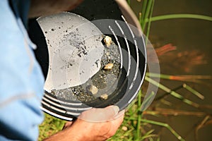 Gold panning, man striking it rich by finding the mother lode or at least a nugget or two