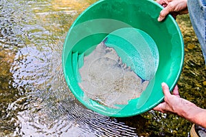 Gold panning in mineral rich stream