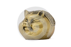 Gold pig - Chinese symbol