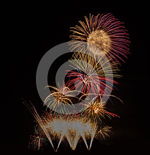 Gold, pink, orange, red, flower, blue, fireworks on a black backround