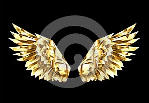 Gold polygonal wings on black background