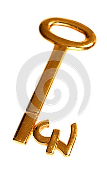 Gold pound key