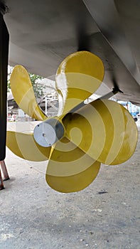 THE GOLD PROPELLOR photo