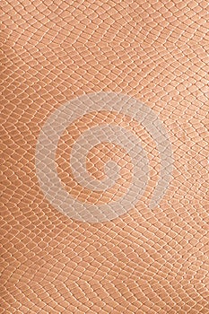 Gold python skin. The texture of genuine leather