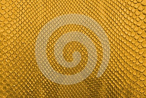 Gold python snake skin texture background.