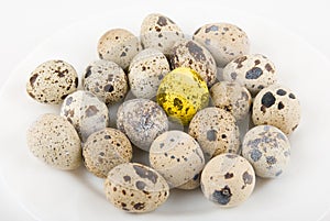 Gold quail egg