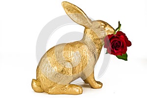 Gold rabbit toy with red rose for Valentines day