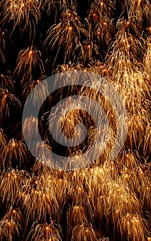 Gold rain photo