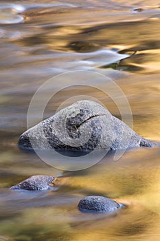 Gold Reflections Merced River