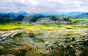 Gold rice terraces of Baping