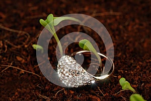 Gold Ring with Cubic Zirconia (CZ) on the Ground with Green Plants photo