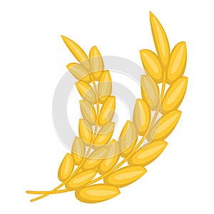 Gold ripe wheat ear icon, cartoon style