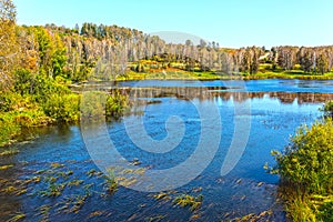 Gold river Suenga a tributary of the river Berd . Siberia, Ru photo